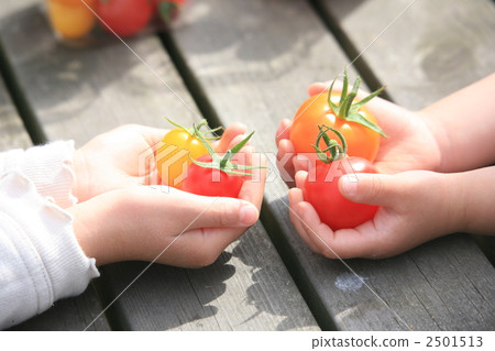 food, foods, mini tomato 2501513
