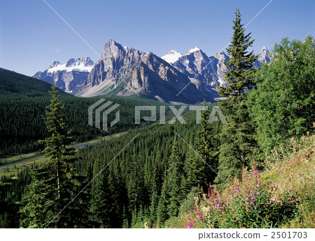 Ten Peaks Valley in Banff National Park 2501703