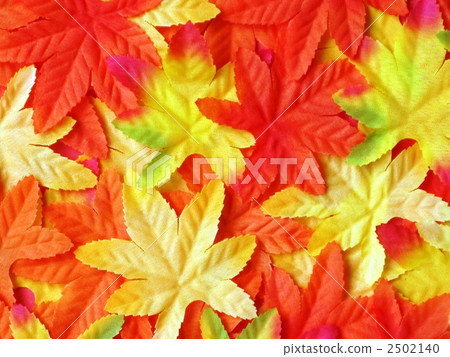 maple, yellow leafe, vinyl 2502140