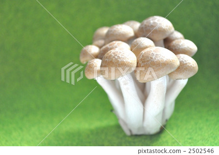 蟹味菇 褐色櫸木香菇 羊肚菌 2502546