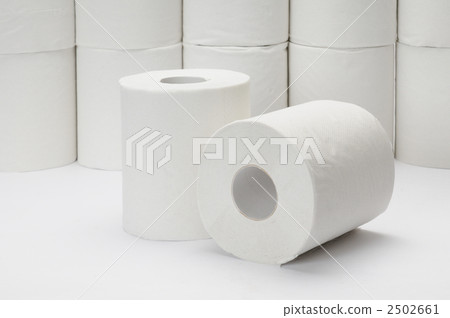 衛生紙 2502661