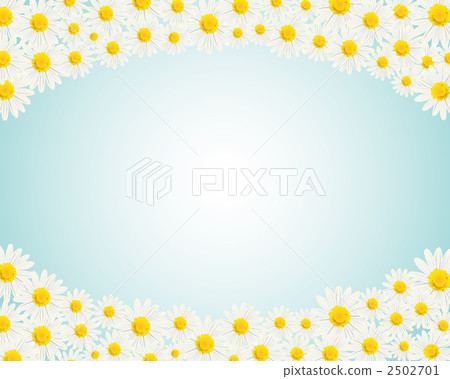 雛菊 菊花 花朵 2502701