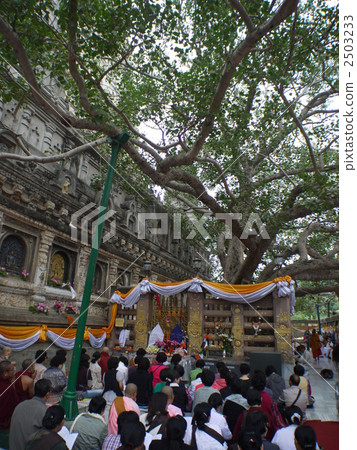 董事會加耶:摩訶菩提寺 董事會加耶:摩訶菩提寺 2503233