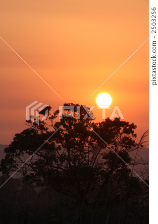 日落 夕陽 晚霞 2503256