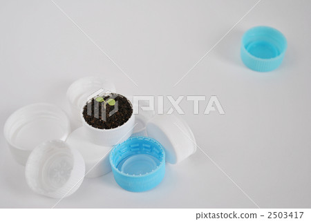 瓶蓋 蓓蕾 嫩芽 2503417