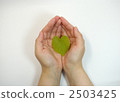 Suzhou leaves held in hand 2503425
