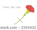 carnation, carnations, mothers day 2503432