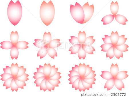 Cherry blossom petals 2503772