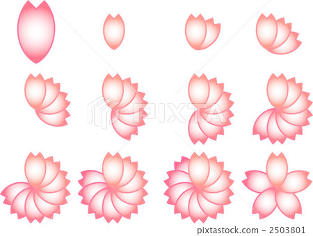 Cherry blossom petal rotation 2503801
