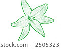 植物 植物學 植物的 2505323
