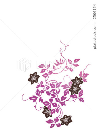 花朵 花 花卉 2506134