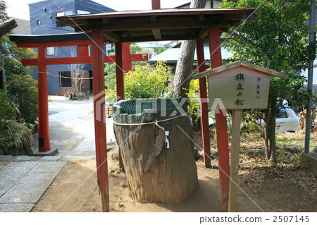 Visiting former Tsuruoka Hachimangu Shrine in Kamakura 2507145