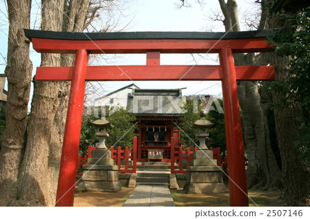 Visiting former Tsuruoka Hachimangu Shrine in Kamakura 2507146