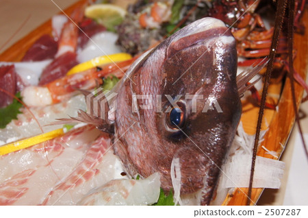 海上的船鯛魚 2507287