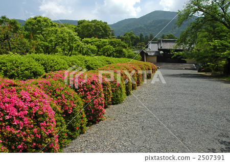 京都Kodai-in Temetsu 京都Kodai-in Temetsu 2507391