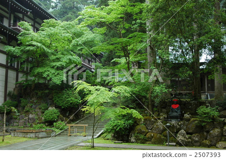 Eihei Temple in rain 2507393