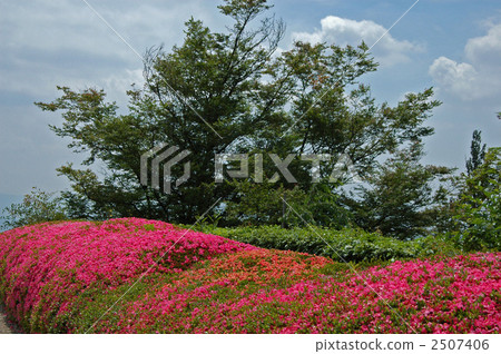 京都、善望寺的小月 2507406