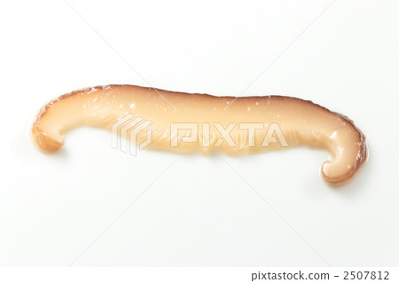 Shiitake mushroom 2507812