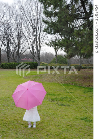 The back of a child with an umbrella The back of a child with an umbrella 2508454