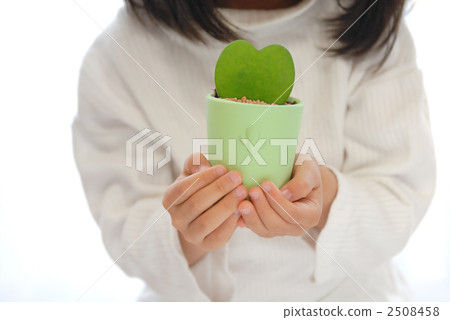 綠色禮品 2508458