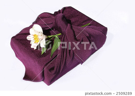 Usage consent Usage consent 2509289