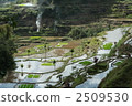 Rice terraces in the Philippines 2509530