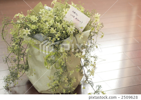 living room, web material, mothers day 2509628