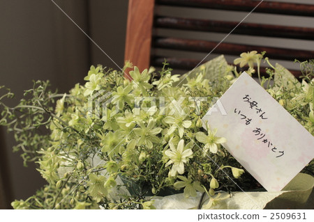 mothers day, mother's day, petoriei 2509631