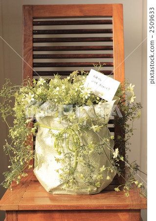 母親節 可愛 漂亮 2509633