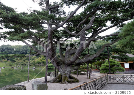 Kuribayashi公園 Kuribayashi公園 2509955