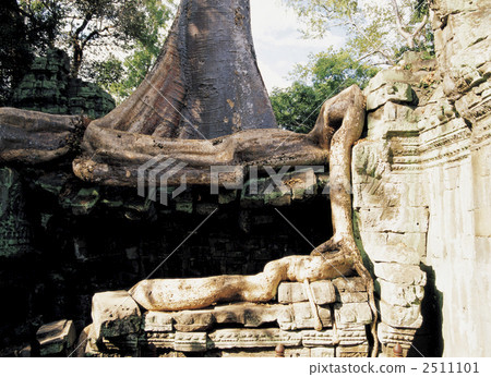Ta Prohm Ruins Ta Prohm Ruins 2511101