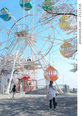 Senjyama公園櫻花和摩天輪 2511416