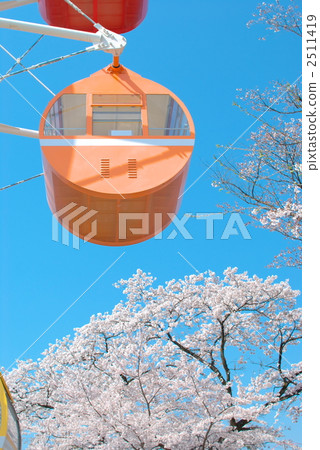 Senjyama公園櫻花和摩天輪 2511419