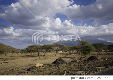 荒野 荒地 地球 2511442