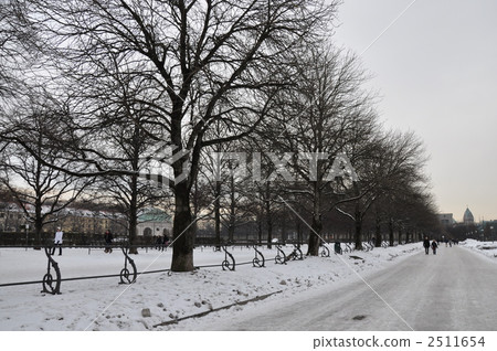 白雪皚皚 雪景 大雪鋪滿的路 2511654