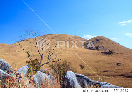 福岡縣的Hiratodai非常晴朗 2512082