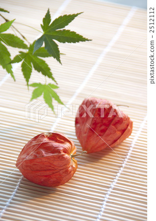 盲目的猥褻和綠葉 2512112