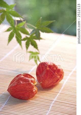 盲目的猥褻和綠葉 2512113