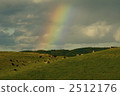 Cattle living in peace 2512176