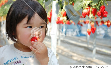 Strawberry picking 2512703