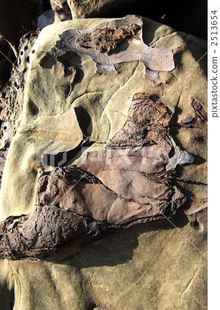 日南沿海岩石 2513654