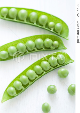 綠色和平 綠色和平 2514402