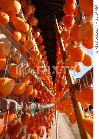 kaki, persimmon, under the eaves 2514484