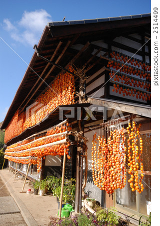 hometown, kaki, persimmon 2514499