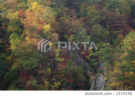Autumn Naruko Gorge 2514548