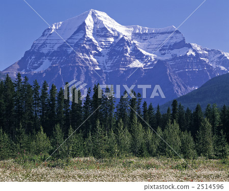 Mount Robson 2514596