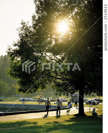 Stanley Park in Vancouver 2514613