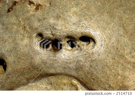 日南沿海岩石 2514710