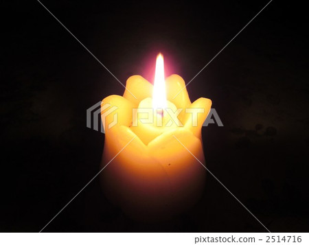 蠟燭側身 2514716