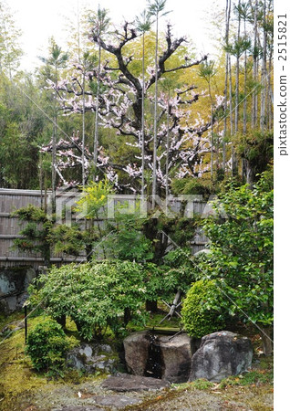 Garden of Kyoto Bamboo Park Garden of Kyoto Bamboo Park 2515821